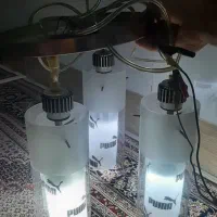 لوستر|لوستر و چراغ آویز|قم, دروازه ری|دیوار