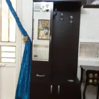 جاکفشی سالم