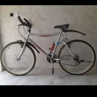 دوچرخه توسن