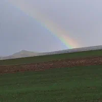 زمین کشاورزی  بانیاران