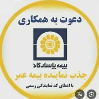 جذب نماینده بیمه پاسارگاد
