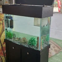 آکواریوم با تمامی وسایل|ماهی|محمدشهر, ولدآباد|دیوار