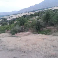 زمین کشاورزی|فروش دفتر صنعتی، کشاورزی، تجاری|شازند, |دیوار