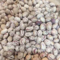 لوبیا چیتی بوجاری شده