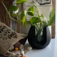 تدریس خصوصی پایه ابتدایی