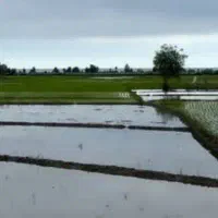 واگذاری صبحانه خوری قلب بازار