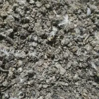 کود کبوتر یا فضله ی کبوتر