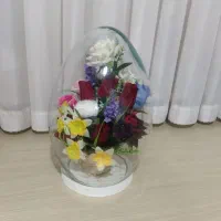 حراجی|حراج|بروجرد, |دیوار