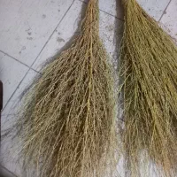 جارو پوشی|لوازم نظافت|ملایر, |دیوار