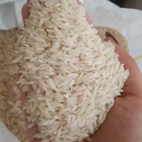 فروش برنج شمال