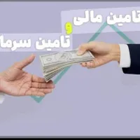 سرمایه گذار