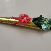 گل رز