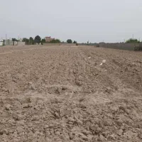 زمین فروشی سند تک برگ