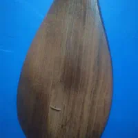 دوتار خراسان|سازهای سنتی|تهران, فلسطین (میدان انقلاب)|دیوار