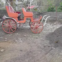 اسب