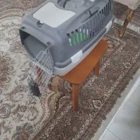 باکس سگ و گربه|لوازم جانبی حیوانات|اصفهان, جلفا|دیوار