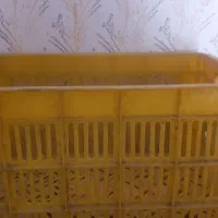 سبد گوجه