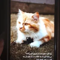 گوشی کارکرده سالم تمیز