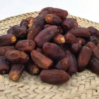خرما درجه یک