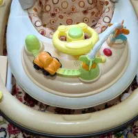 روروئک ، تشک بازی و ...