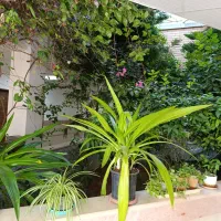 مجتمع فرهنگی آموزشی حضرت زینب سلام الله علیها|خدمات آموزشی|نجفآباد, ویلاشهر|دیوار