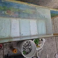 آکواریوم|ماهی|نجف‌آباد, امیرآباد|دیوار