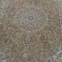 فرش ۱۲ متری پاتریس و یک جفت ۶ متری|فرش|اراک, |دیوار