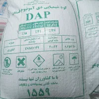 گندم کوهدشت بوجار وسم خورده درشت