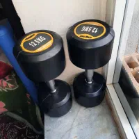 دمبل ۲۵کیلویی صفر|تجهیزات ورزشی|سقز, |دیوار