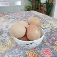 تخم شاخ دار فروشی