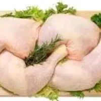 ران ،فیله ، مرغ کشتار روز