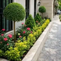 خدمات باغبانی در سراسر تهران|خدمات باغبانی و درختکاری|تهران, گلستان (شهرک راه آهن)|دیوار