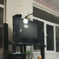 تلویزیون صفحه تخت سامسونگ