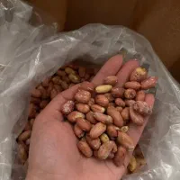 بادام آستانه برای شب یلدا