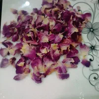 پر گل محمدی تازه آذربایجان