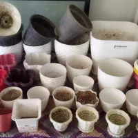 گلدان‌های گل سالم و باکیفیت