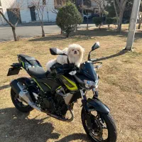 کاوازاکی z250