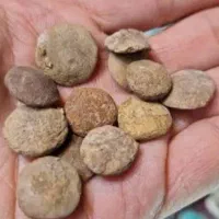 مهره فروش|جواهرات|کارون, |دیوار