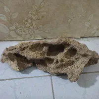 سنگ اکواریوم
