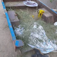کف نیسان دوگانه کارخانه