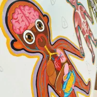 تخته آموزشی اعضای بدن مهدکودک و مدارس