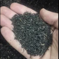 چای چکش سبز عطری