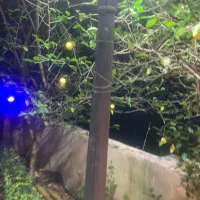 چراغ و پایه برای فضای باز|لامپ و چراغ|نوشهر, |دیوار