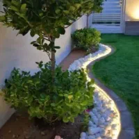 اجرای محوطهسازی و احداث فضای سبز با طراحی حرفهای|خدمات باغبانی و درختکاری|رشت, بلوار گیلان|دیوار