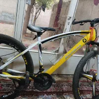 دوچرخه رینگ اسپرت