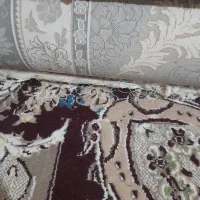 فرش ۱۲۰۰ شانه|فرش|تویسرکان, |دیوار