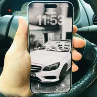 17promax zaa 256 silver