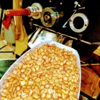 دستگاه روستر قهوه ۱۵کیلو، رست دان رستر دون خام تفت