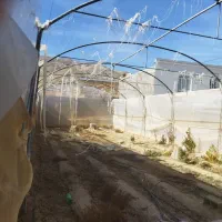 سازه گلخانه|ابزارآلات|رونیز, |دیوار