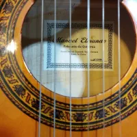 گیتار|گیتار، بیس، امپلیفایر|زنجان, |دیوار